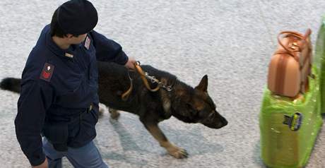 Policejní psovod na letiti (ilustraní foto)